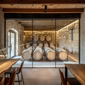 Donec at blandit orci, sit amet accumsan velit